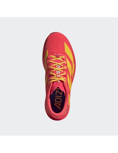 Adidas Adizero Evo SL M LUCRED/BOGOLD/SELUBL