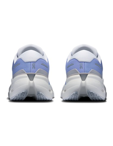 ON RUNNING Cloudrunner Mujer  3 Myrtle/Platinium