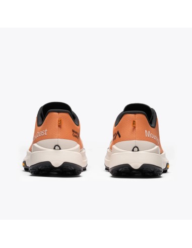 MOUNT TO COAST T1 Clay