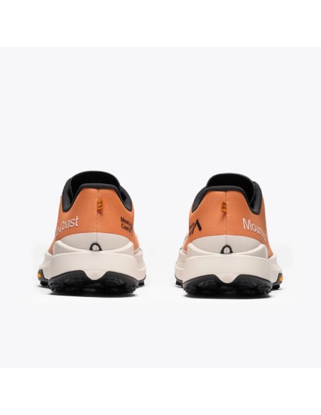 MOUNT TO COAST T1 Clay