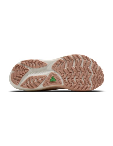 Brooks Ghost Trail Wolf/Rose/Nightlife